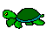 kornjaca